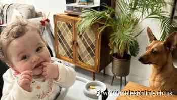 Teacher killed 13-month-old baby after subjecting him to horrific abuse