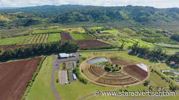 Native Hawaiian group to manage Ritz-Carlton Turtle Bay ag land