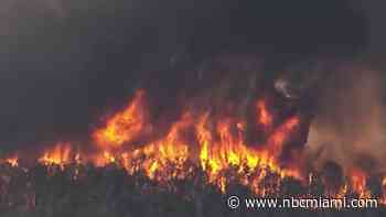 Brush fire burns hundreds of acres, forces business to evacuate in west Miami-Dade