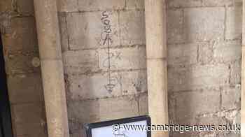 Cathedral staff 'saddened and frustrated' after historic building targeted by vandals