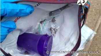 Police find drugs and weapons at Mill Road cemetery after locals share concerns