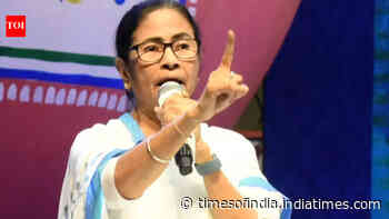 Mamata Banerjee files plea in Calcutta high court challenging Bhabanipur poll result
