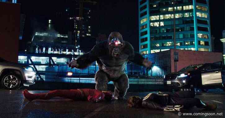 James Gunn Just Corrected a Key Report About DC’s Gorilla Grodd Show