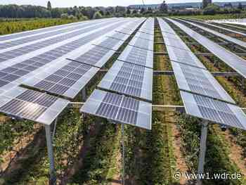 Hennef: Keine Photovoltaik-Anlagen für Landwirtschaft
