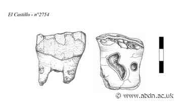 Neanderthals may have turned rhinoceros teeth into tools, researchers find