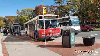 Regional transit plan aims to increase options for residents near Saint John