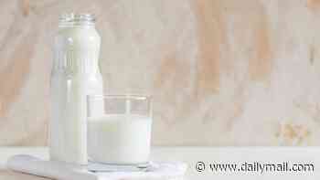 What's the truth about unhomogenised milk? Shoppers go crazy for 'non-UPF' milk - but experts say it might not be as healthy as people think