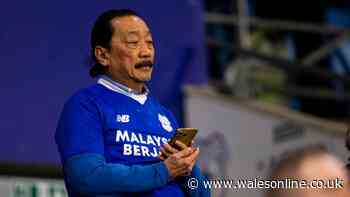 Vincent Tan makes seismic Cardiff City move in major statement