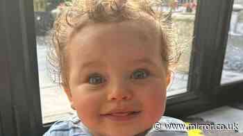 Ten tragic missed opportunities to save Preston Davey from adoptive parents