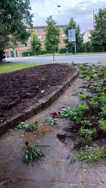 Speyer – Beschädigung von Pflanzen am Adenauerpark