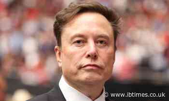Trillionaire Claims Elon Musk's Quadrillionaire Status Is 'Not Impossible'