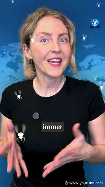 Google will Millionen Mücken freilassen #mücken #dengue #tagesschau