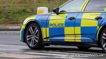 Tragedy as girl, 16, dies after being hit by car - police arrest 19-year-old man