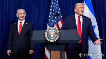 Trump: 'There would be no Israel' without me
