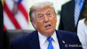 Trump: ‘We are not investing any money in Iran’