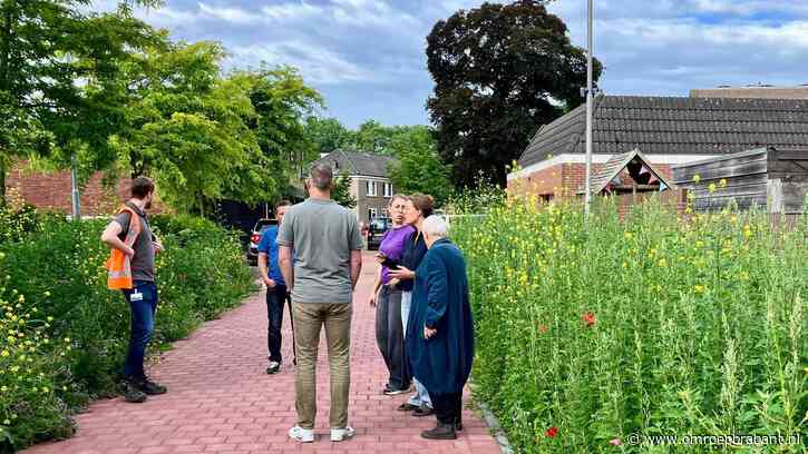 Berm vol bloemen verdwijnt bijna in maaimachine maar buurt grijpt in