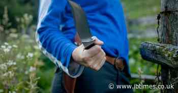 'Yo, I'm a Murderer': Teen's Shocking Google Search, Claims After 'Accidentally' Fatally Stabbing Young Girl, 9