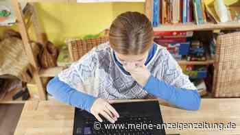 „Sie lernen einfach nicht“ – 40-Jähriger schreibt mit vermeintlichem Kind im Internet