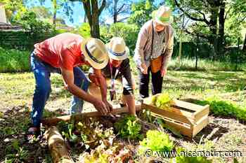 « Le bien-être dans un endroit ressourçant » : un jardin partagé inauguré dans un Ehpad à Mouans-Sartoux