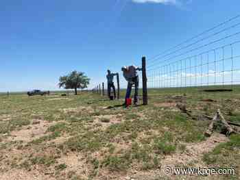New Mexico agricultural businesses can get reimbursed for hiring interns