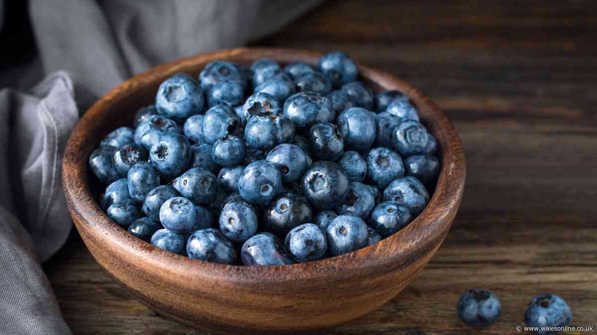Keep blueberries fresh for up to 3 weeks with simple 5-minute task