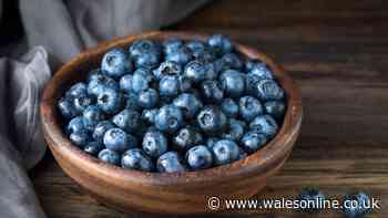 Keep blueberries fresh for up to 3 weeks with simple 5-minute task