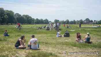 UK weather maps show scorching 39C heatwave hitting in days as 30 counties face 30C or more