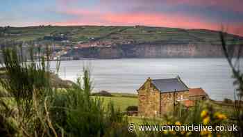 Clifftop holiday cottage with panoramic sea views that's a wildlife 'haven'