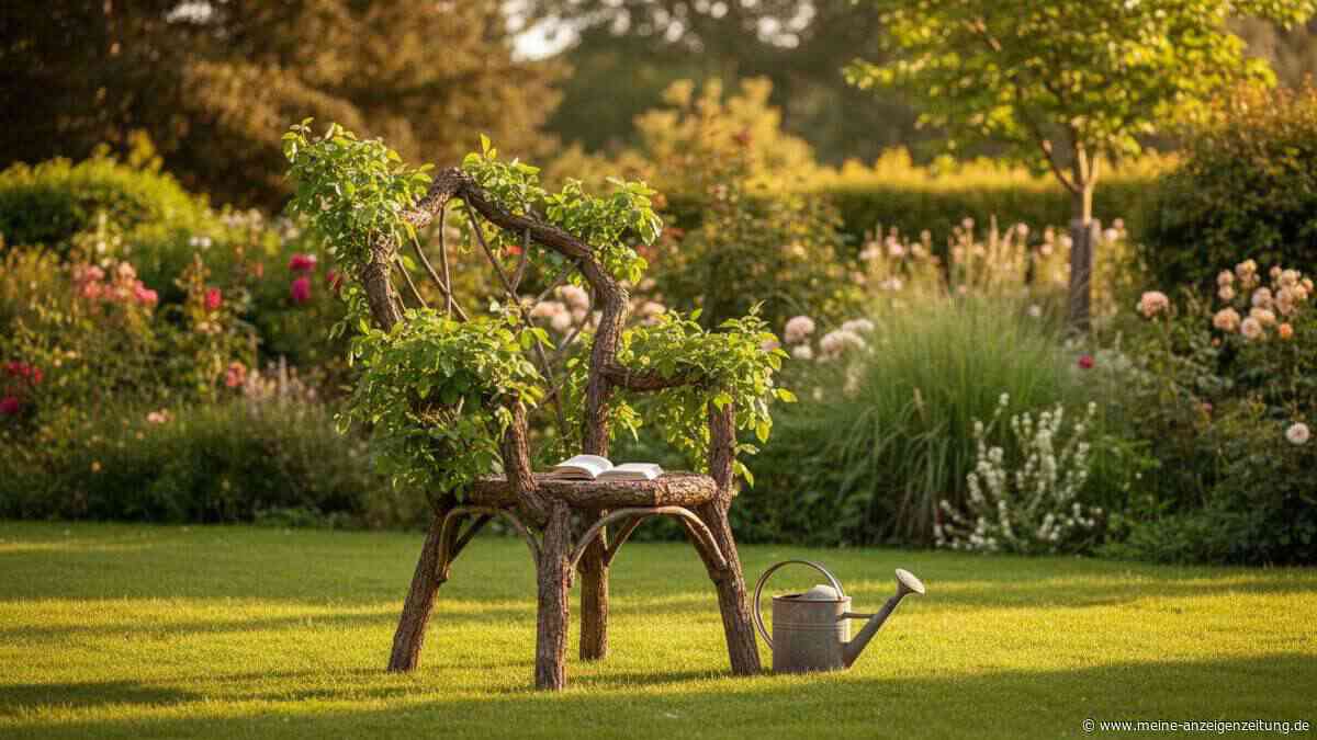 Stühle aus dem Garten: Wachsende Möbel für bis zu 80.000 Euro