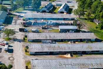 At least 30 horses killed in Saratoga Springs harness barn fire, lawyer says