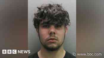 Man who cut down Christmas tree gives no reason
