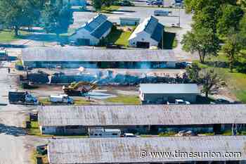 Horses killed in Saratoga Springs harness barn fire, lawyer says