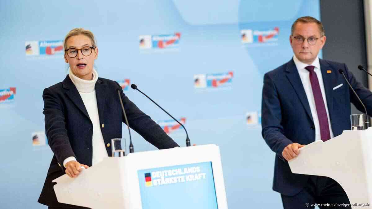 AfD festigt in Umfragen Vorsprung vor Union