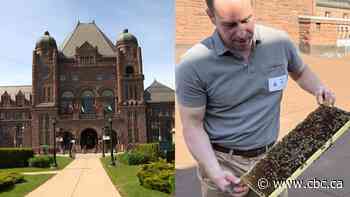 Why honeybees are now living in Ontario's legislature