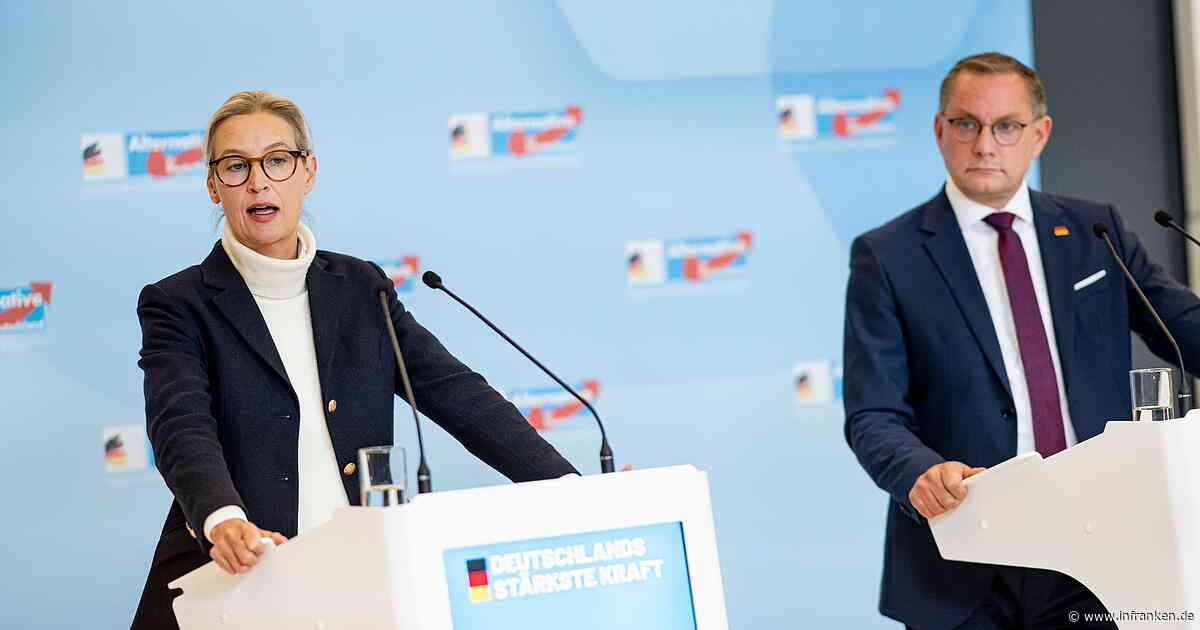 AfD festigt in Umfragen Vorsprung vor Union
