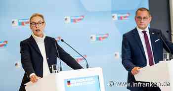 AfD festigt in Umfragen Vorsprung vor Union
