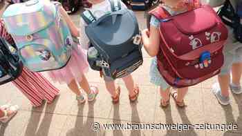 Zahl sinkt: Salzgitters Grundschulen erwarten im Sommer 1207 Abc-Schützen