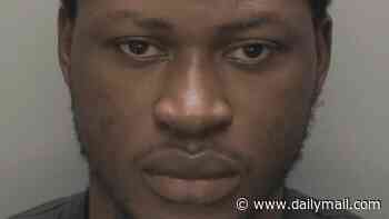 Nigerian migrant, 27, nicknamed 'Spartan' who tried to rape woman after a 'party' night out is jailed