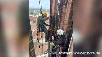 Freiburger Münster: Deshalb klettern Steinmetze an der Fassade hoch