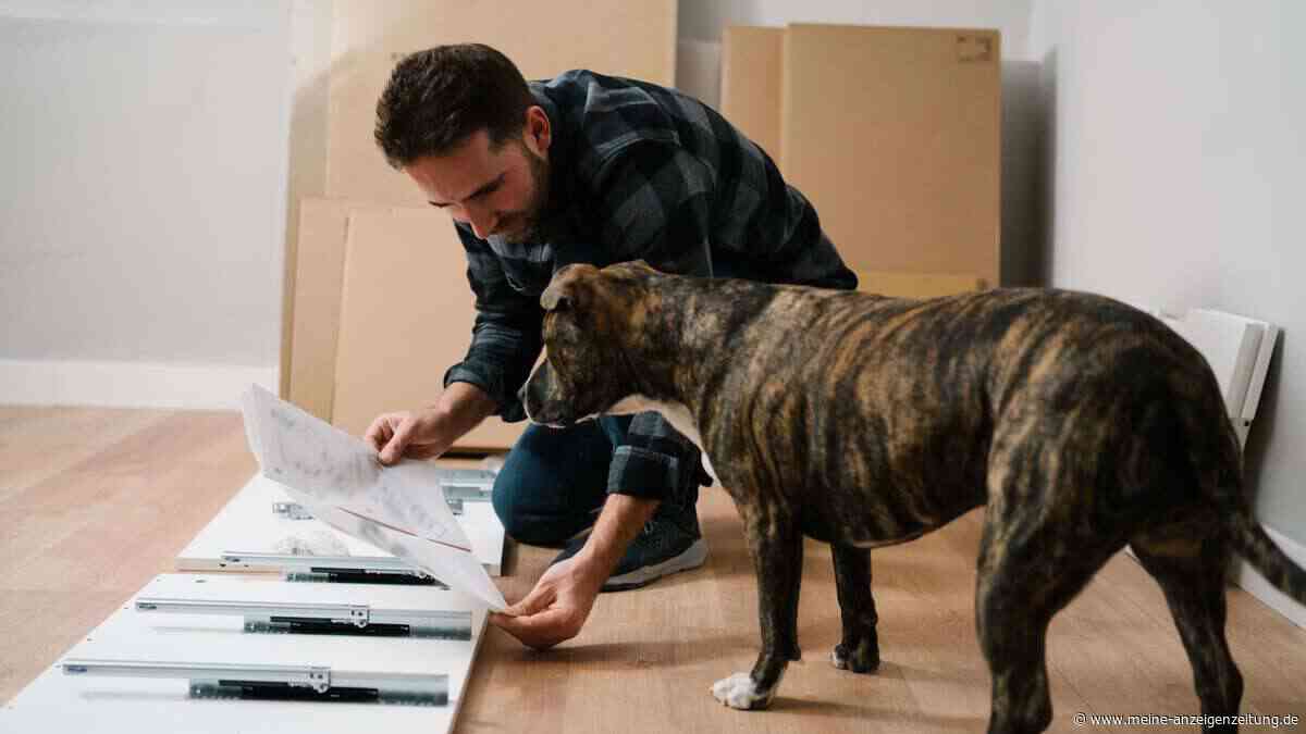 Große Neuigkeit für Hundebesitzer: Ikea Deutschland ändert seine Regeln