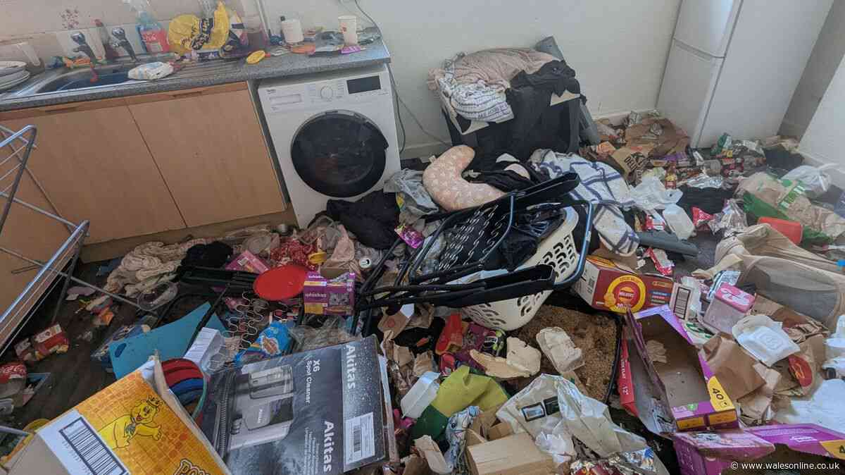 Caged cat found dead in house surrounded by rubbish