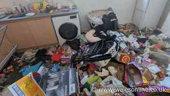 Caged cat found dead in house surrounded by rubbish