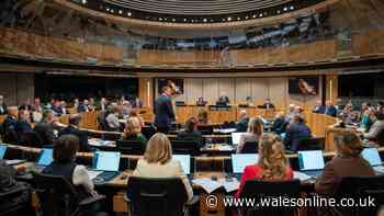 Rhun ap Iorwerth and Reform clash on beheading and migration at First Minister's Questions