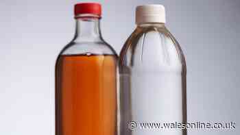 Difference between white and brown vinegar and why one cleans better than the other