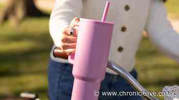 'I found £20 alternative to a Stanley cup and it keeps my drinks cold all day'