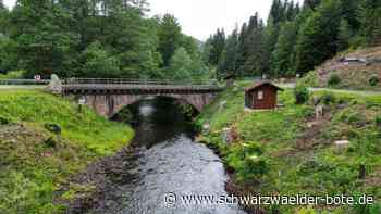 Erst wird Behelfsbrücke gebaut: Wann startet die Sanierung der Guldenbrücke bei Bad Wildbad?