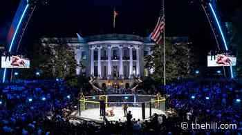 Jon Stewart: White House UFC event 'devalued both combat sports and national dignity'