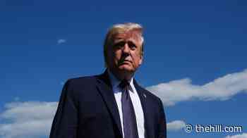 Trump questions Lindsey Graham's skepticism on Iran deal: 'He'll be in big trouble'