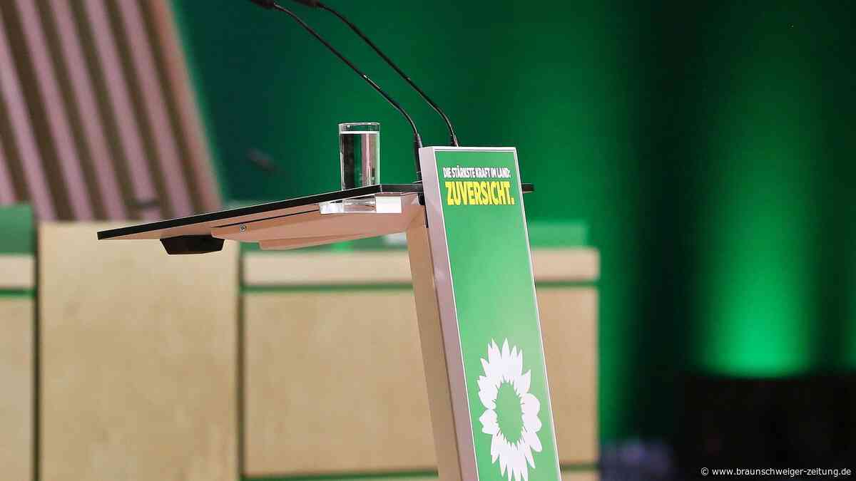Junge Realos bei den Grünen: „Uns wird abgesprochen, unabhängig zu sein“