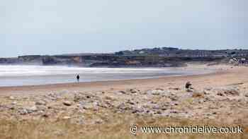 Good Samaritan attacked by group with bottle on popular North East beach
